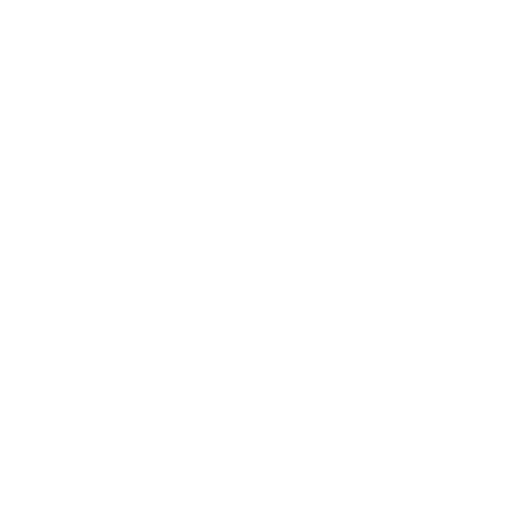 instagramIcon